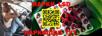 стафф Лесосибирск