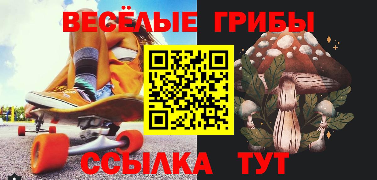 Галлюциногенные грибы мицелий Чапаевск